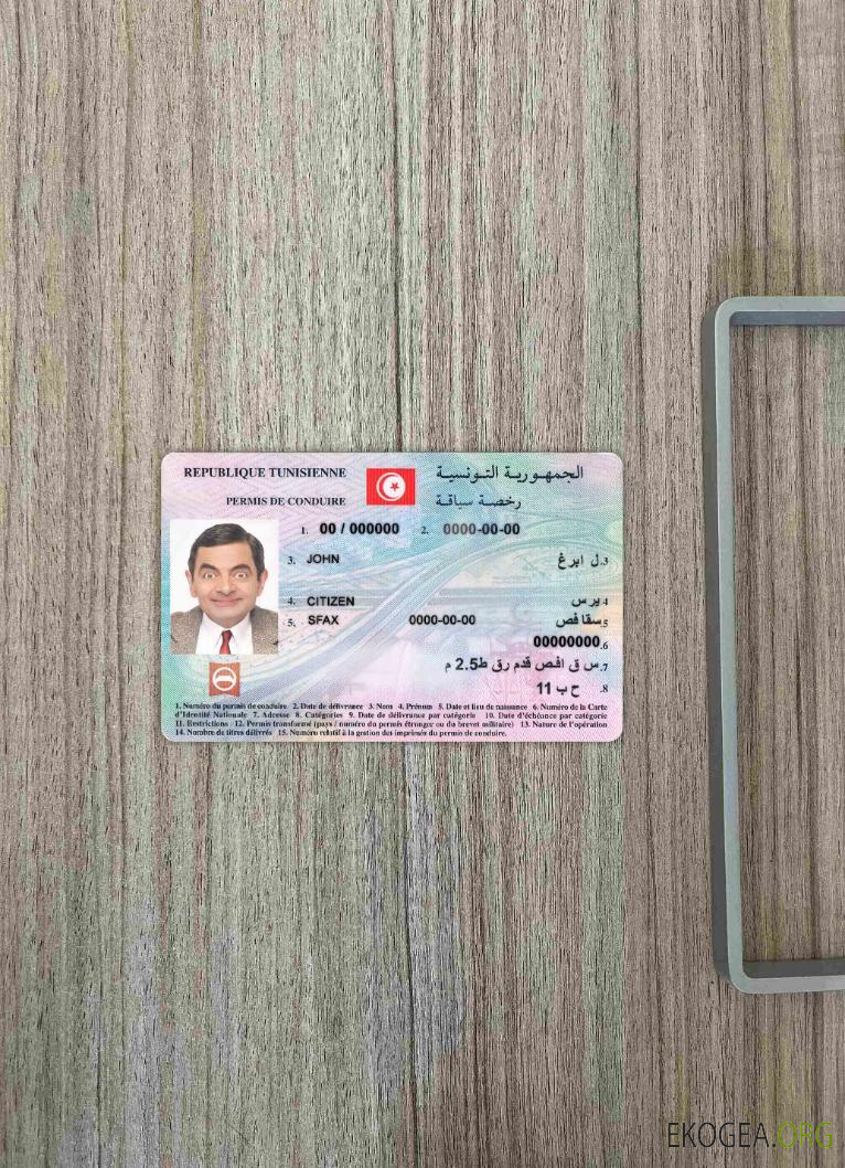 Photolook permis de conduire tunisien DEVANT